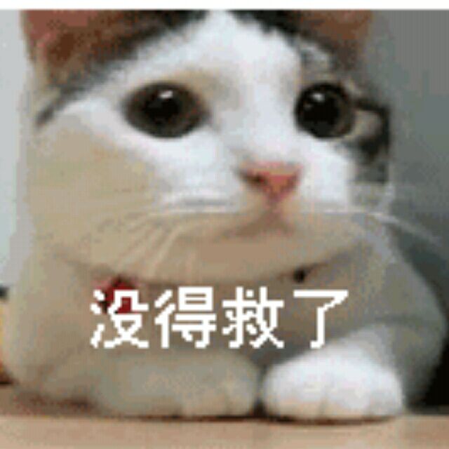 34d1b94c1fab3631.jpg